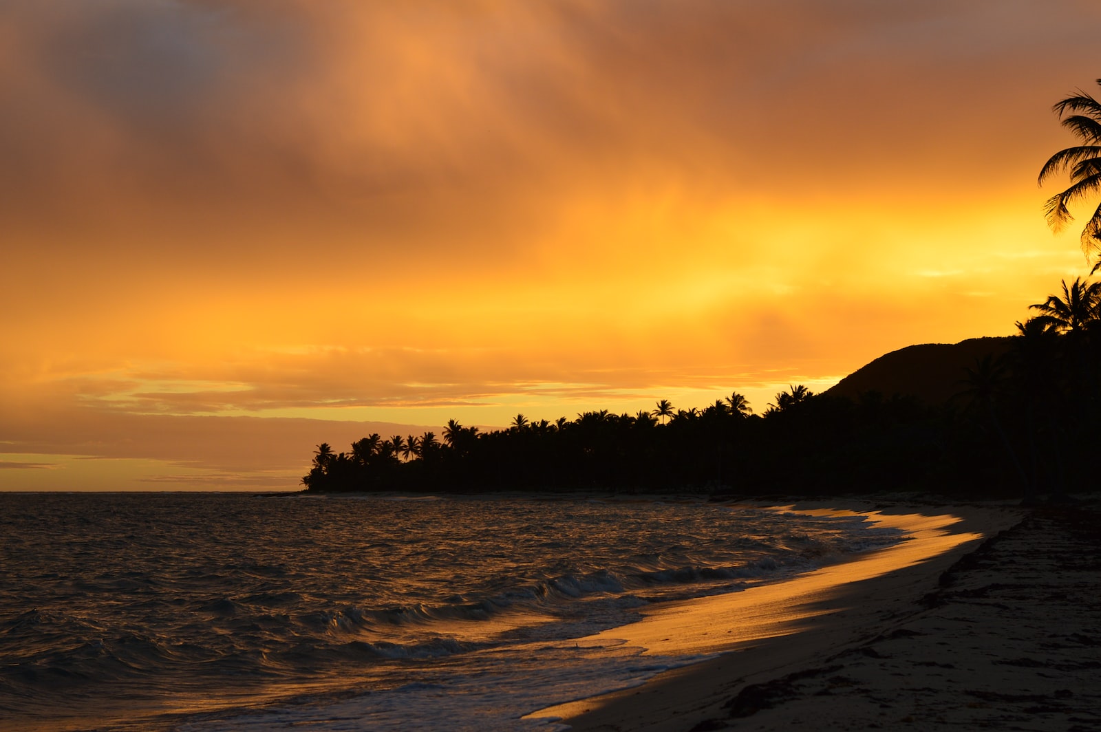 Tout Savoir Sur Le Rhum Guadeloup En