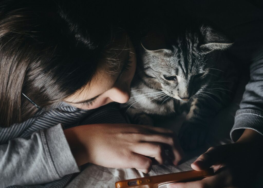 Les meilleurs accessoires pour la sieste de votre chat dans le jardin